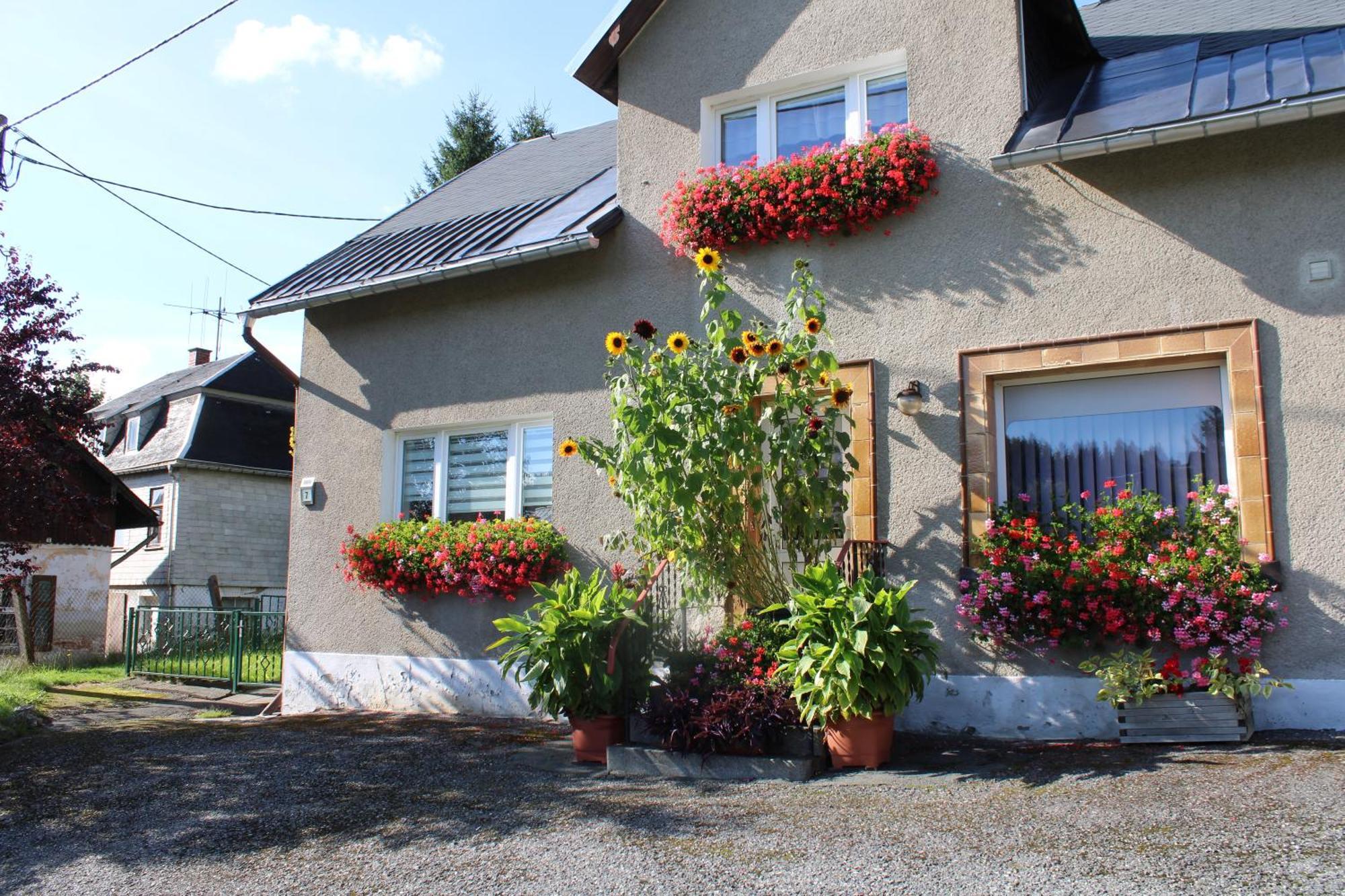 Ferienwohnung am Mühlbach Klingenthal Exterior foto